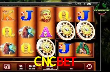 Desvendando o Mundo dos Jogos Virtuais na CNCBET
