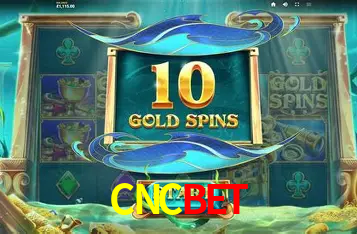 Apostas Esportivas na CNCBET: Um Guia Completo